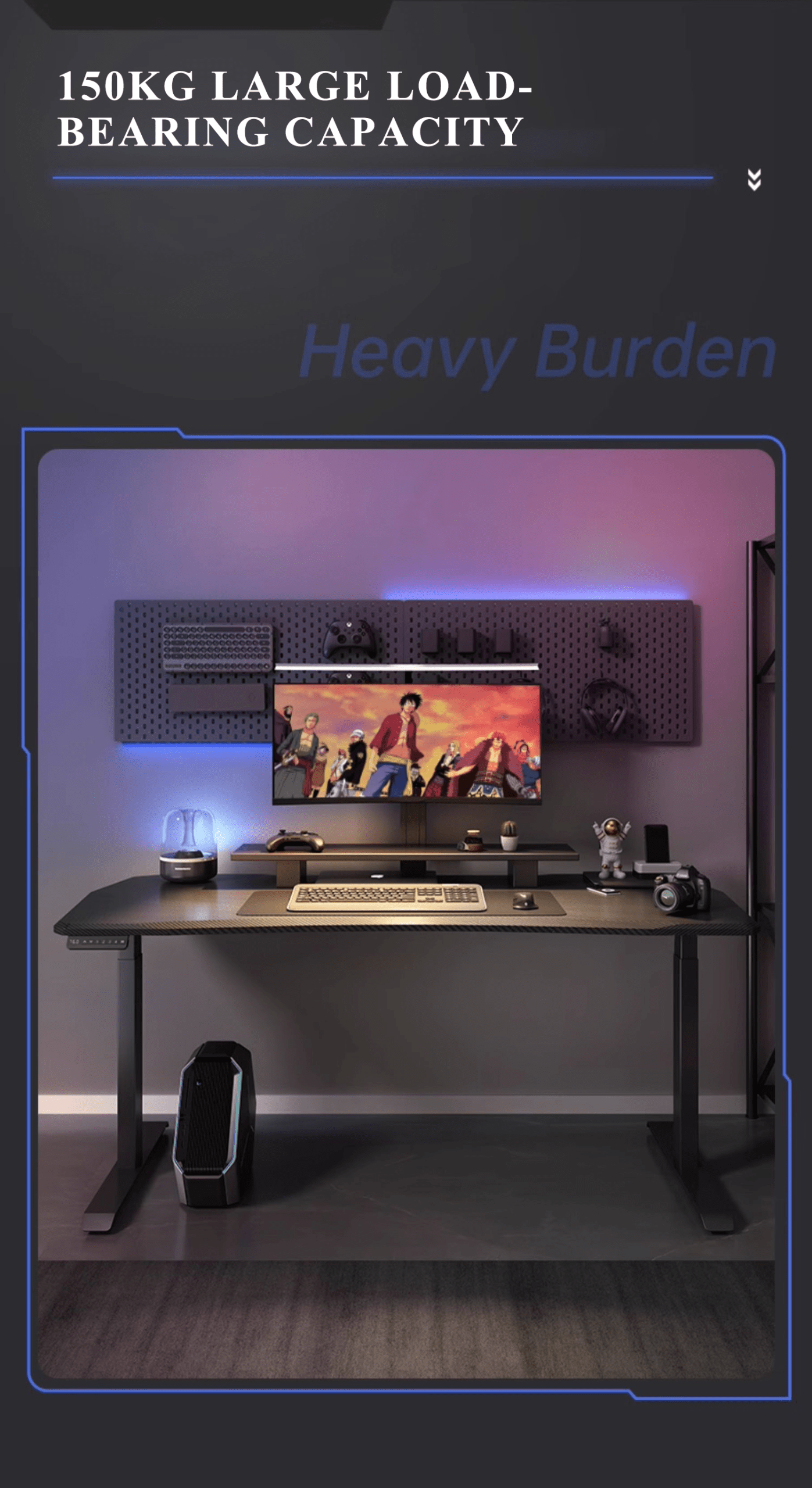 SD-Fibre 产品图片