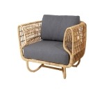 Willow - Image 7