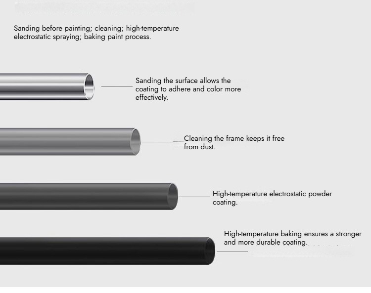 SEASHELL 产品图片