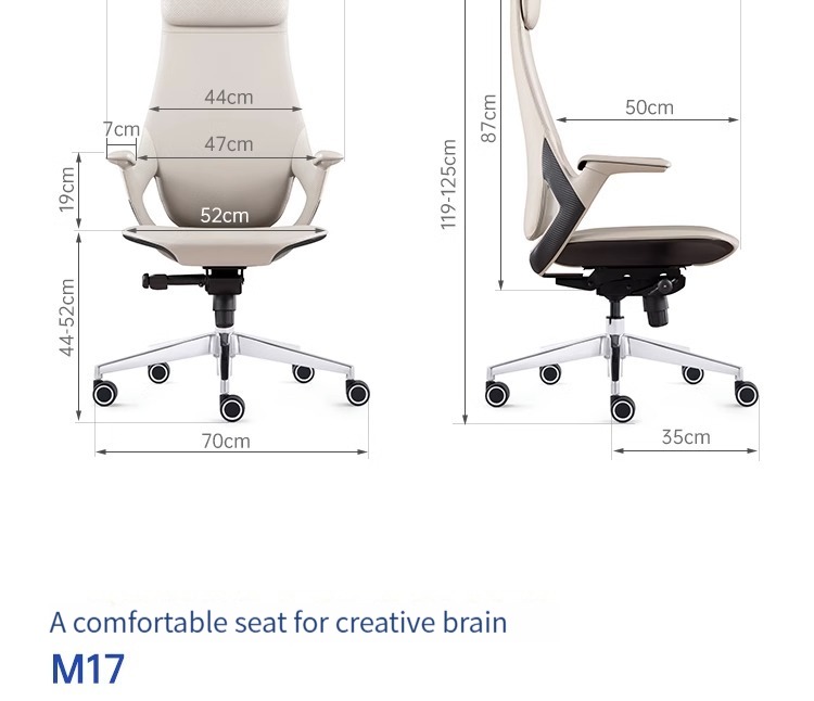 Bunise Executive Leather Chair 产品图片