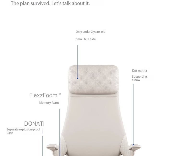 Bunise Executive Leather Chair 产品图片