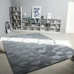 RC011