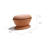SEASHELL - Image 8