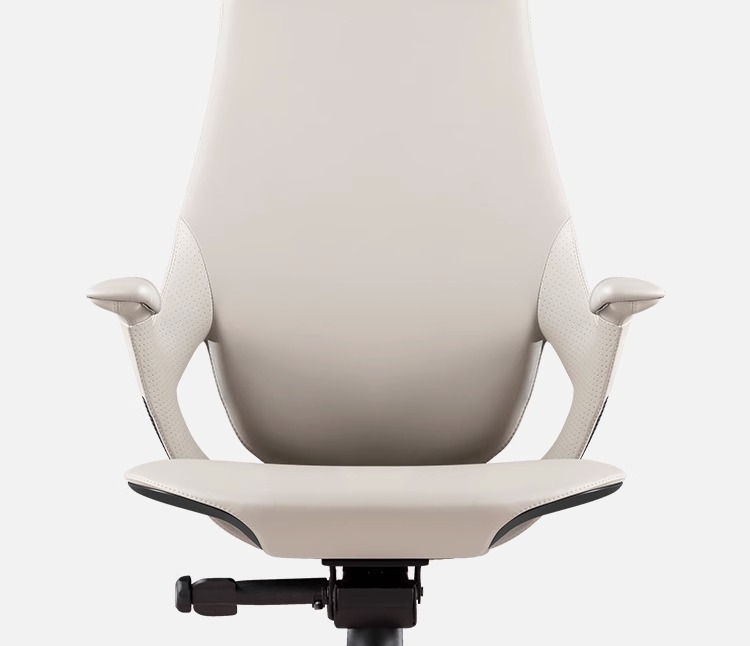 Bunise Executive Leather Chair 产品图片