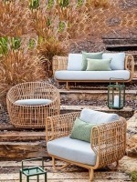 Willow - Image 4