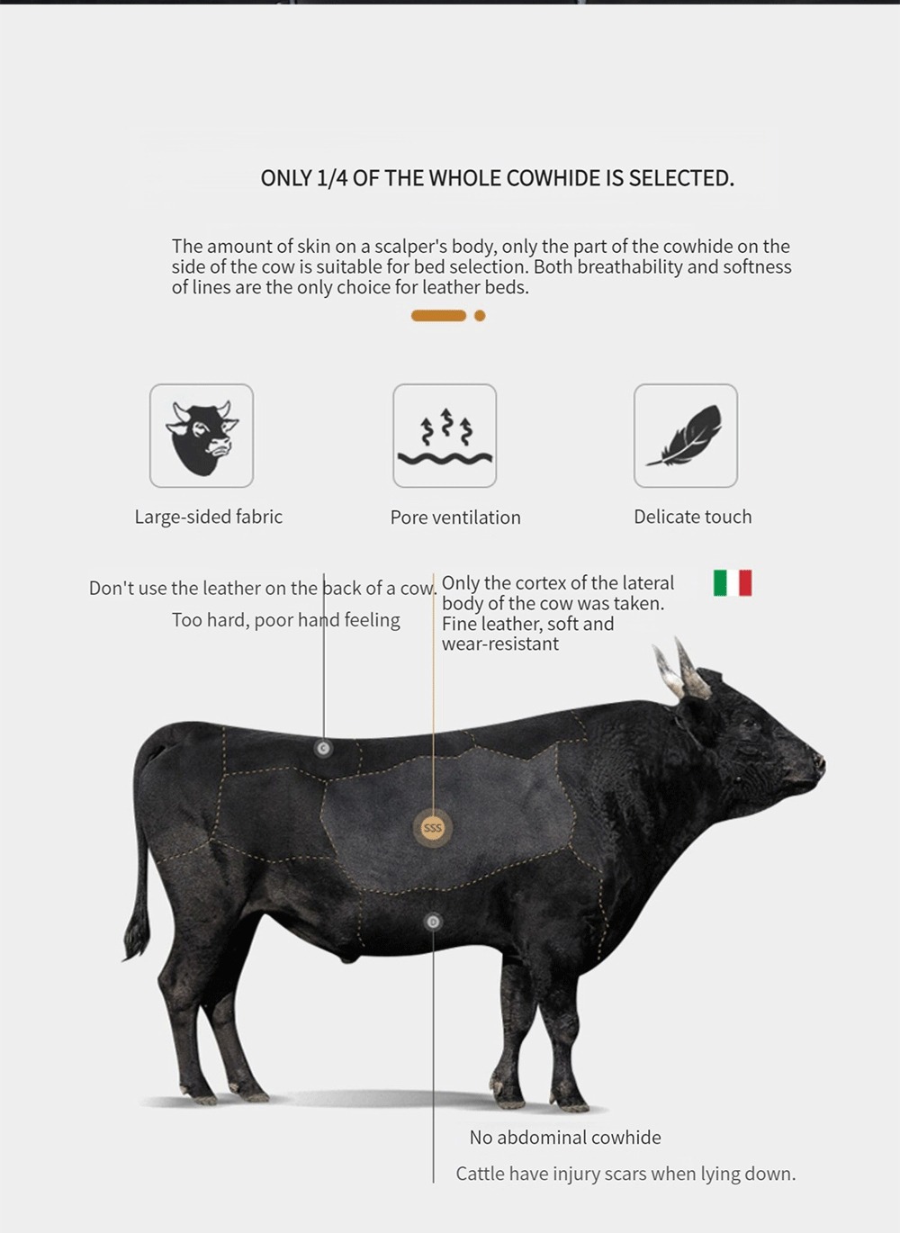 Riviera 产品图片