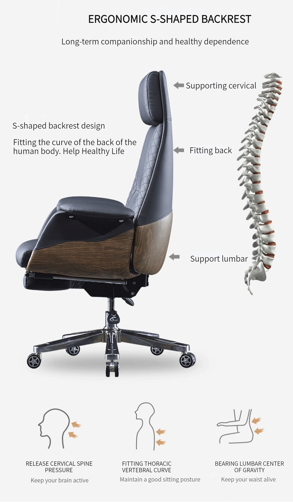 Riviera 产品图片