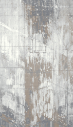 Echo 04 - Image 2