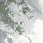 Zen 18