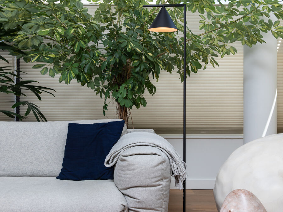 Aven cone floor lamp beside a light sofa and indoor plants