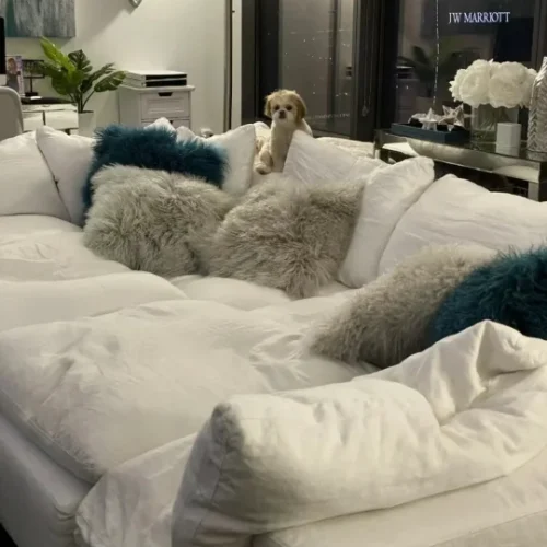 5532e3e7b1d9f54042ddce475da88cdb